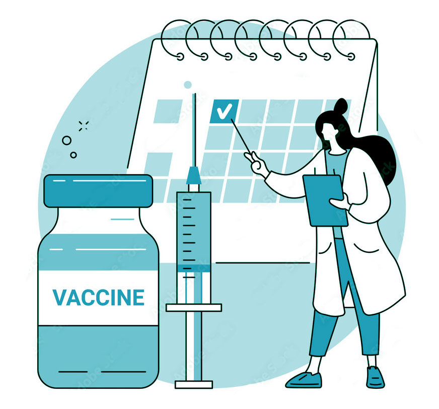 Вакцинация взрослых и календарь прививок